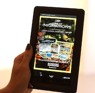 Illustration for article titled Guaranteed Awesome Gifts For The Bookworm